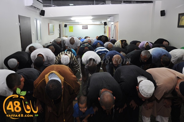 mohamed elfatekh3 (10).JPG